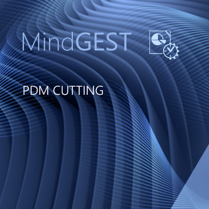 PDM Cutting (Inc. 1 PDM Explorer license)